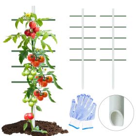 1PC 1.64FT*5FT White Round Tube Climbing Trellis, Outdoor Gardening Stand, Flower And Vegetable Climbing Trellis, Garden And Balcony Climbing Pla (Option: 164FT5FT)